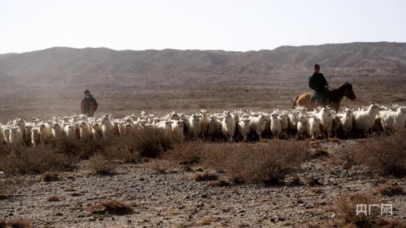 娓╁缇婄兢杞満,鐗涚緤椹尮缈昏秺闆師娴╄崱杞満