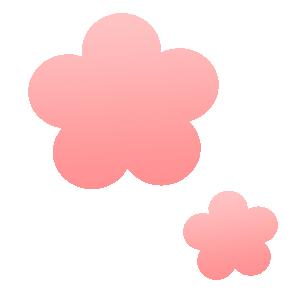 免费！半价！南漳的“爱”给特别的“她”