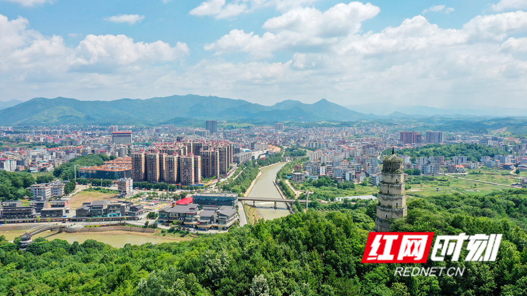 观潮的螃蟹,观潮的螃蟹是谁