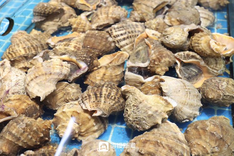 海产梭子蟹价格行情分析最新,广东海鲜市场批发价表