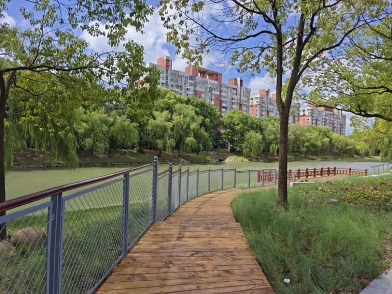 绿道贯通、口袋公园、青年服务……莘庄镇2023年为民办实事项目进展如何？