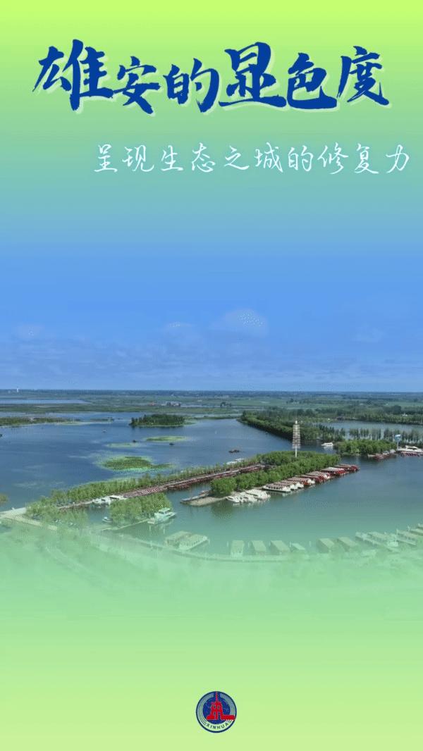 未来已来十景看雄安,百闻不如一见在线观看