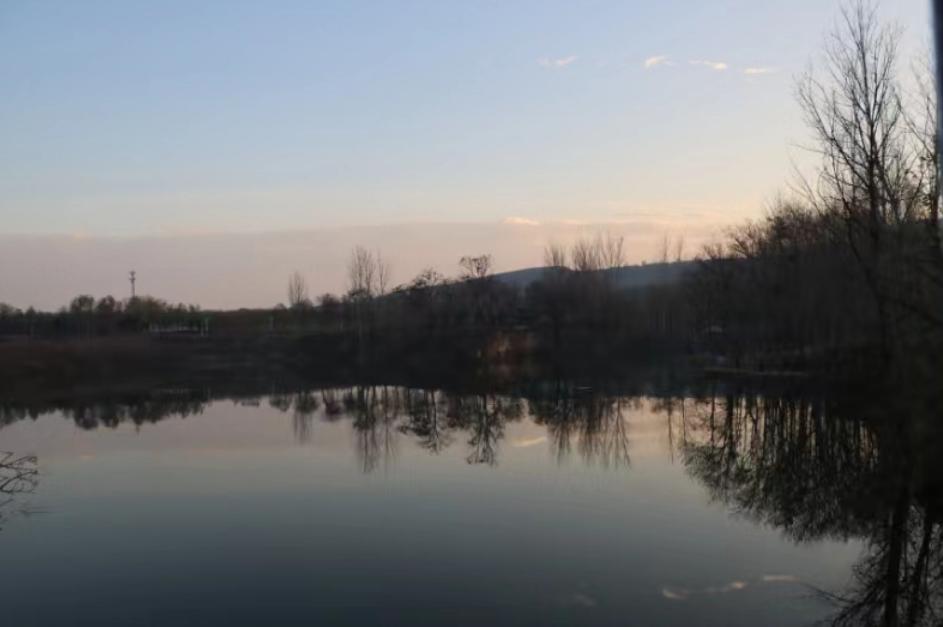 禹州市西炉村：乡村“土味”变“品味”