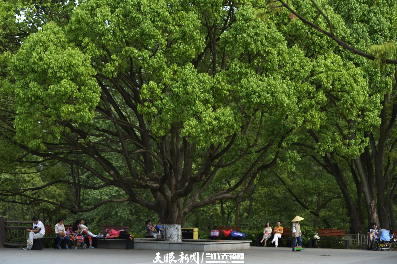 千园之城贵阳公园,千园之城贵阳绝美视频