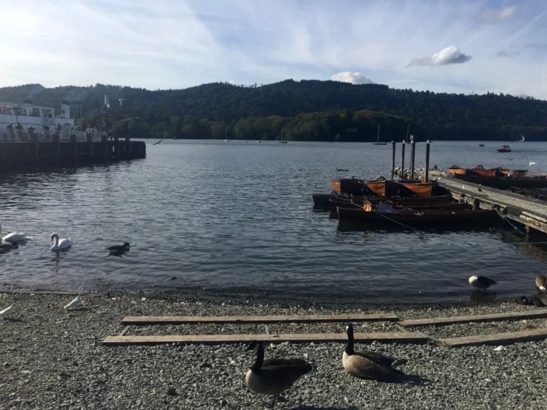 英格兰最大的国家森林公园,新英格兰国家公园