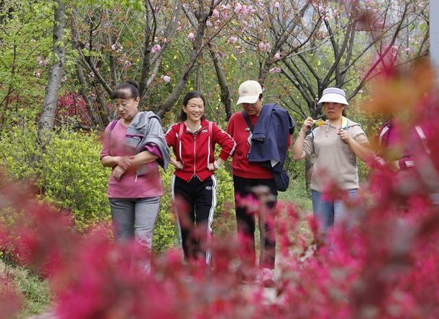 贵阳乌当有草坪的公园,贵阳市乌当区鲜花