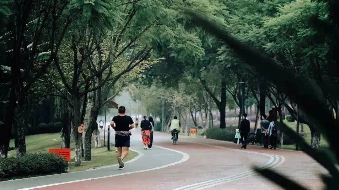 高分交卷！天恒，不止于期待