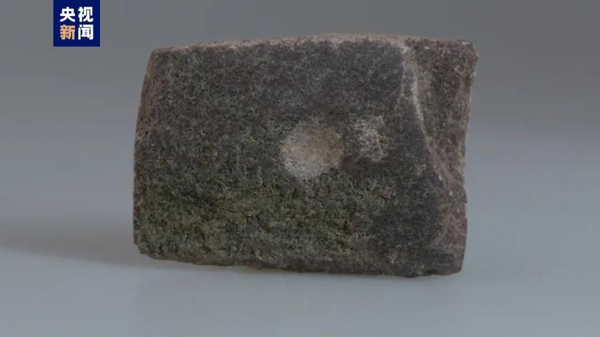 尹村遗址,忻州考古发掘出的文物或遗址