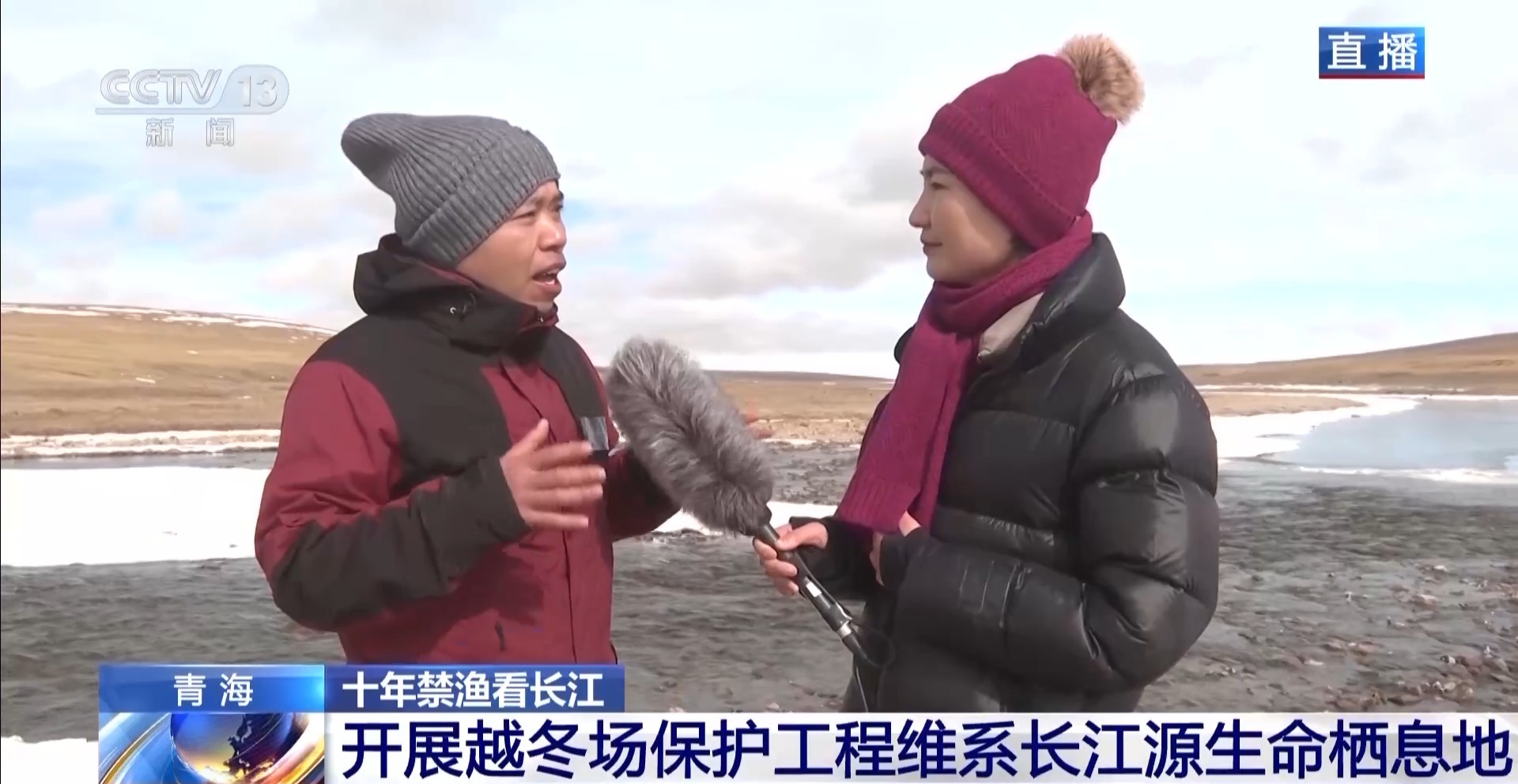 长江禁渔鱼类数据变化,长江禁渔三年多鱼儿们过得怎么样