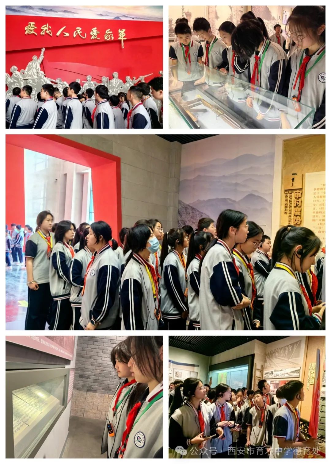 育才二小研学活动,育才中学社会实践活动方案