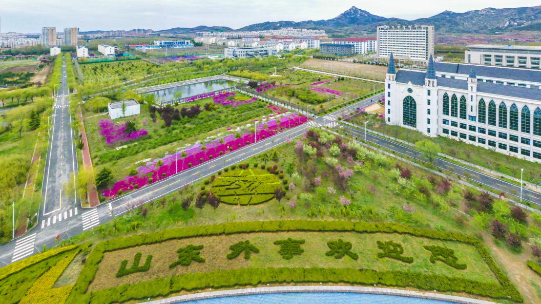 山东外事职业大学继续教育,山东外事职业大学校外培训怎么样