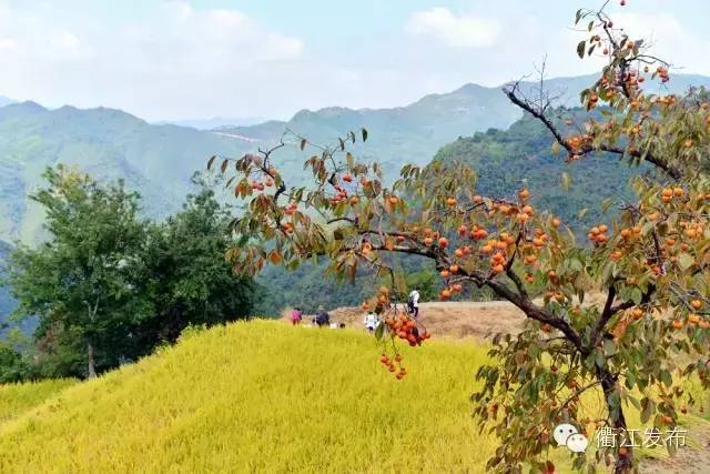 赏秋色、感秋意、品秋味，衢州联合旅行社发布十月精品游线