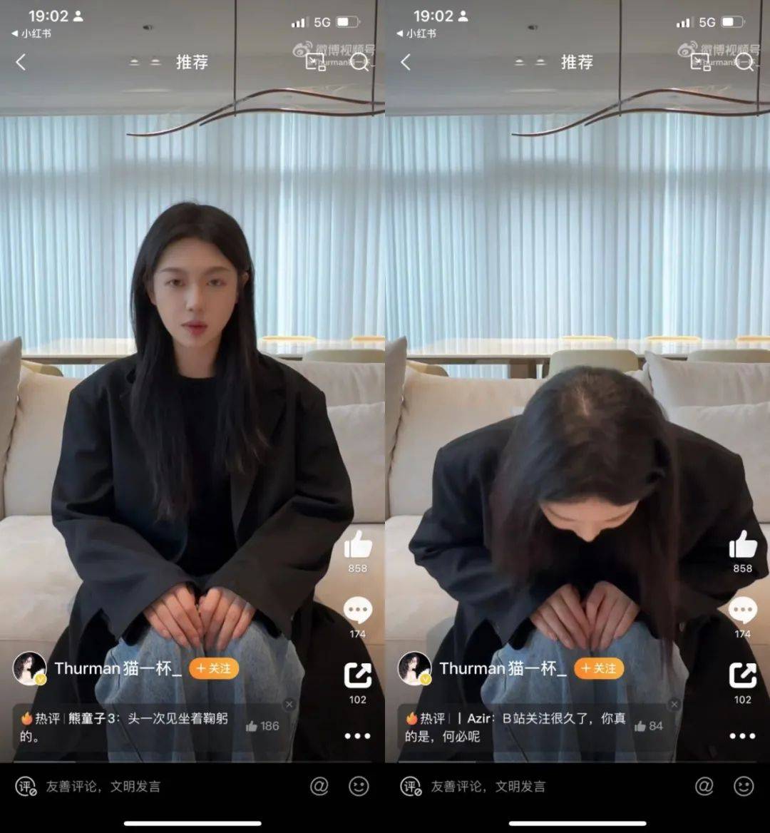 网红猫一杯炮制秦朗事件细节,编造秦朗丢作业的网红被罚