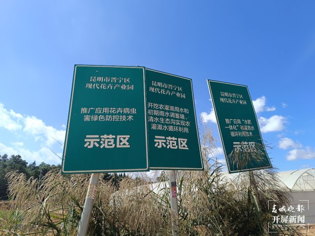 【开屏早知道】网红药方“支原体感染三件套”热传！昆明医生提醒：有效，但……