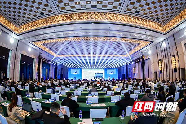 观潮大螃蟹,观潮的螃蟹