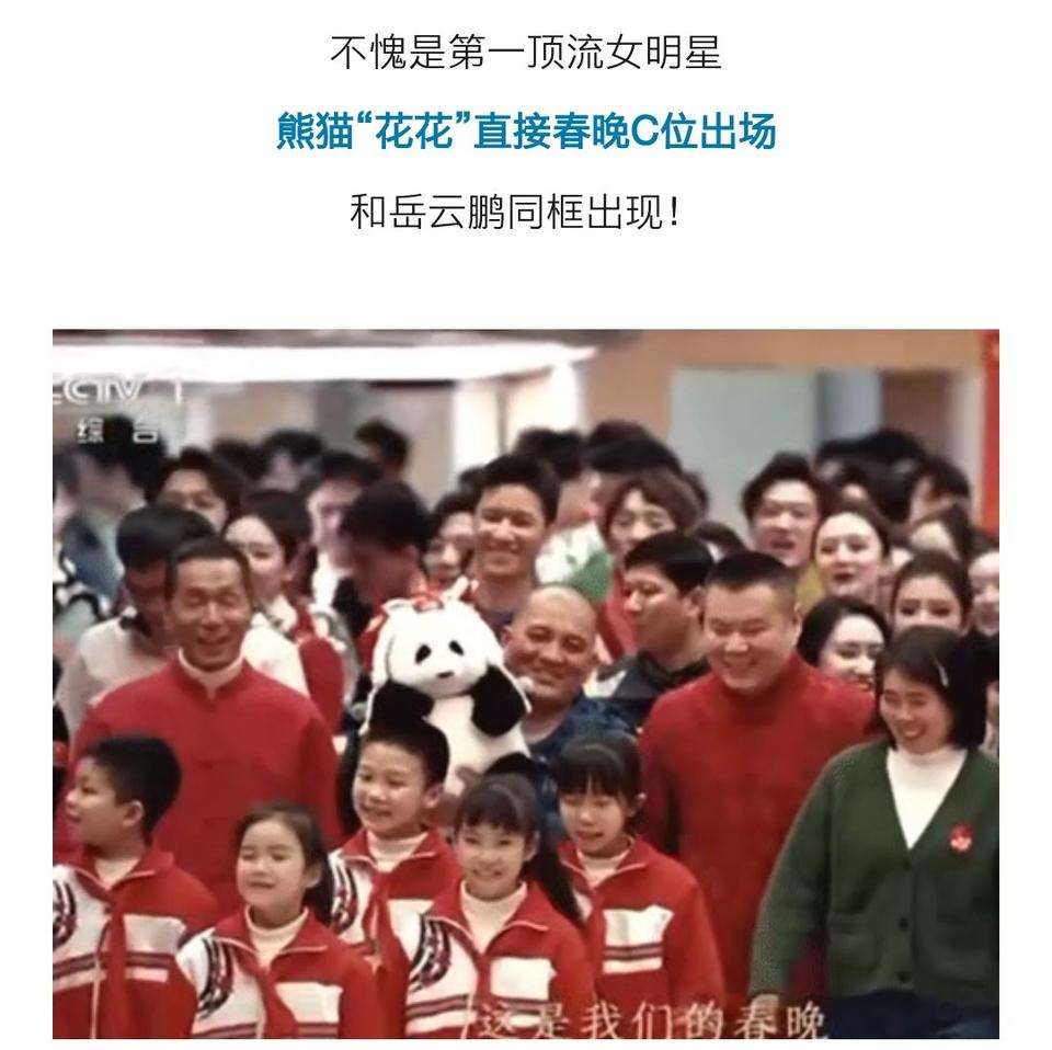 熊猫新年走基层,春晚熊猫花花玩偶