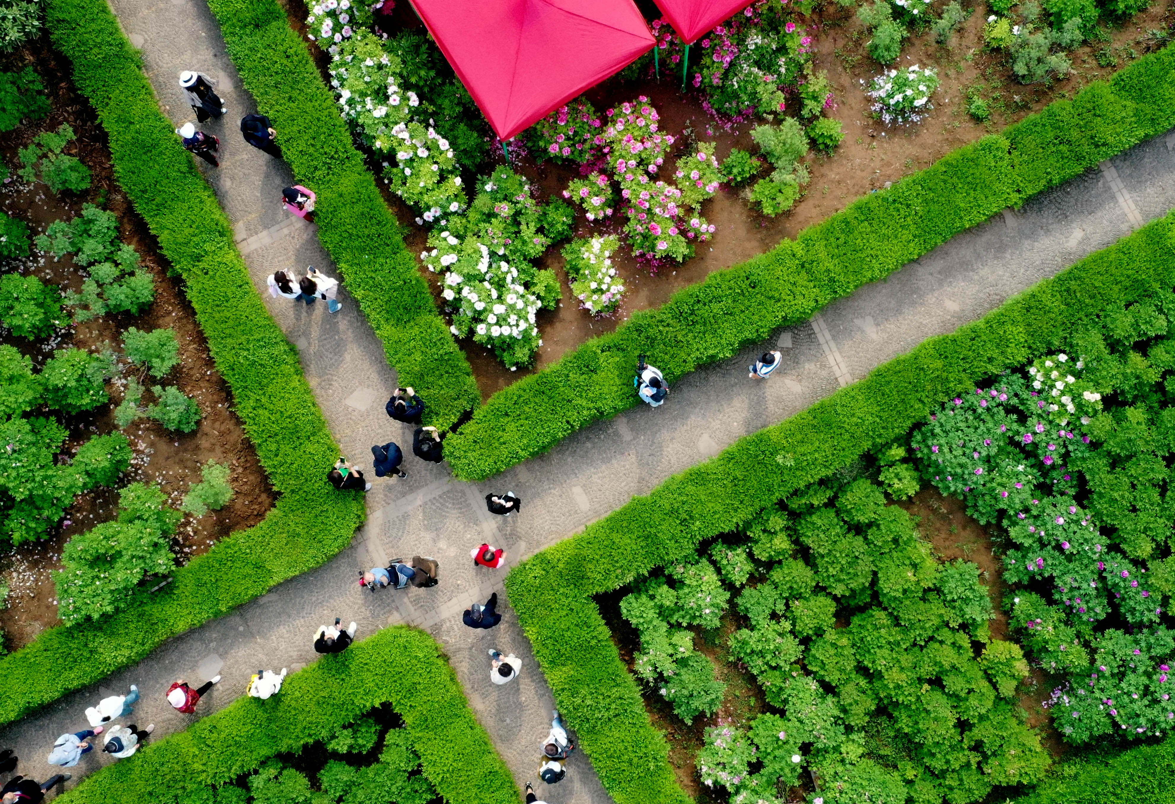 疑是洛川神女作书法,疑是洛川神女作的解释