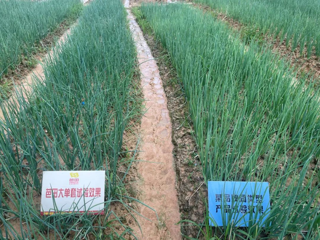 用芭田复合肥种花生好吗,芭田肥料优缺点