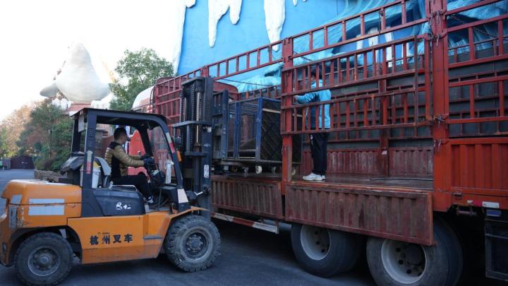 舟山长乔极地海洋公园门票团购,舟山长乔海洋公园海狮