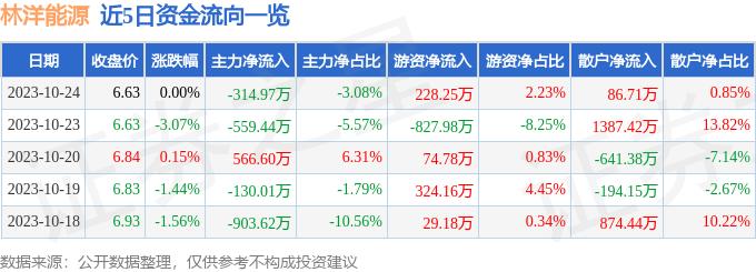 林洋能源（601222）10月24日主力资金净卖出314.97万元