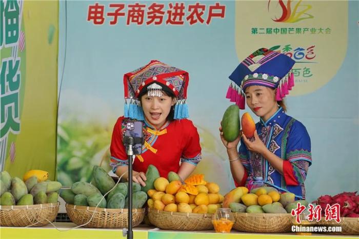 东西问丨黄国弟：芒果是怎样从热带果园飘香全球的？