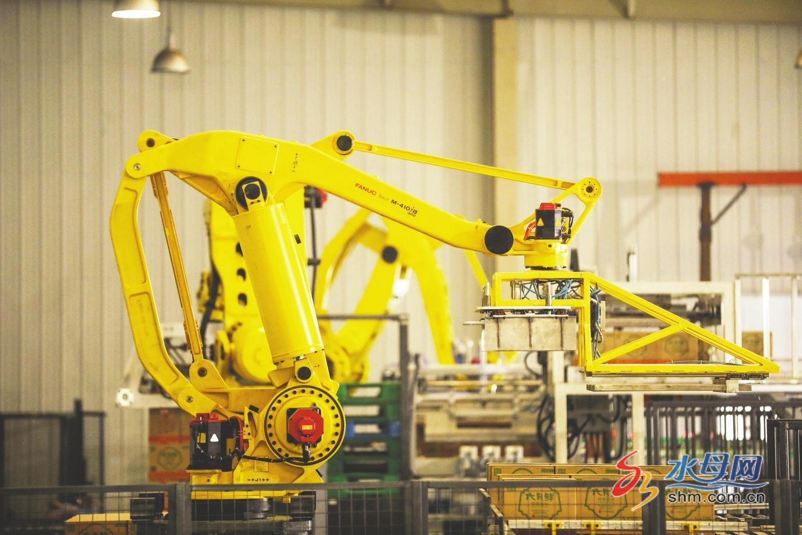 品重烟台|欣和:以“匠心”酿好“酱”