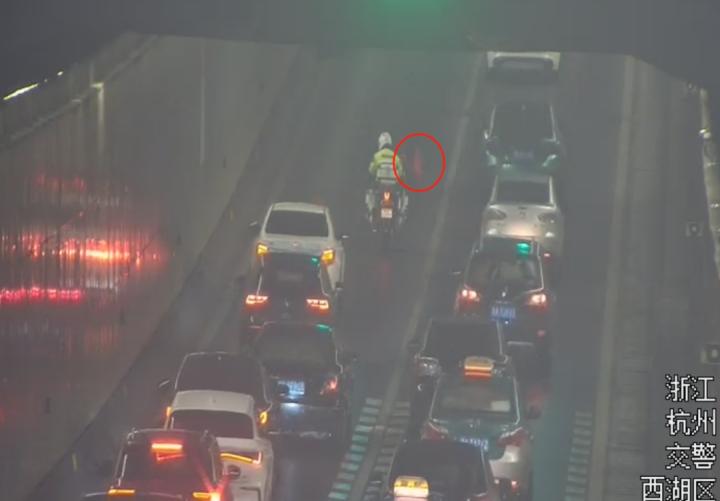 杭州突降暴雨道路积水事件,暴雨里的金毛