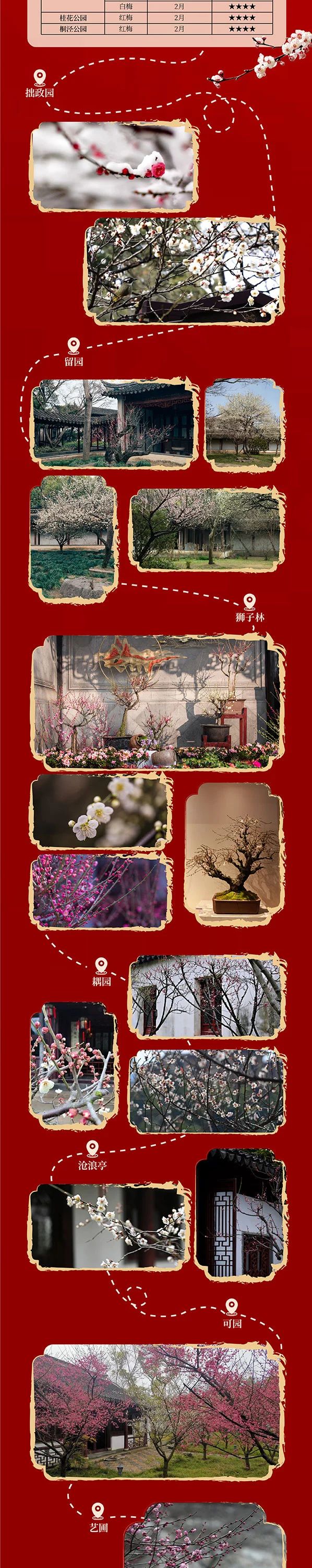 苏州香雪海梅花最佳观赏期,苏州赏梅花的最佳户外线路