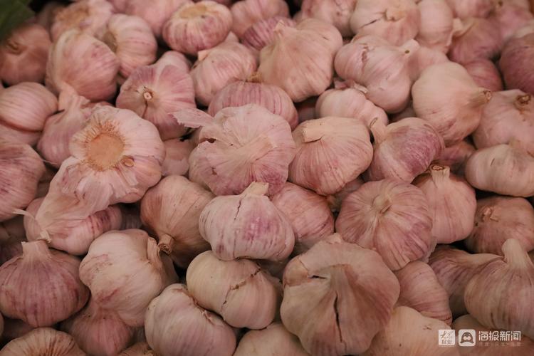 市民菜篮子有保障,市民菜篮子的视频