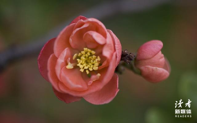 朋友圈两张反差大的照片,朋友圈两图对比