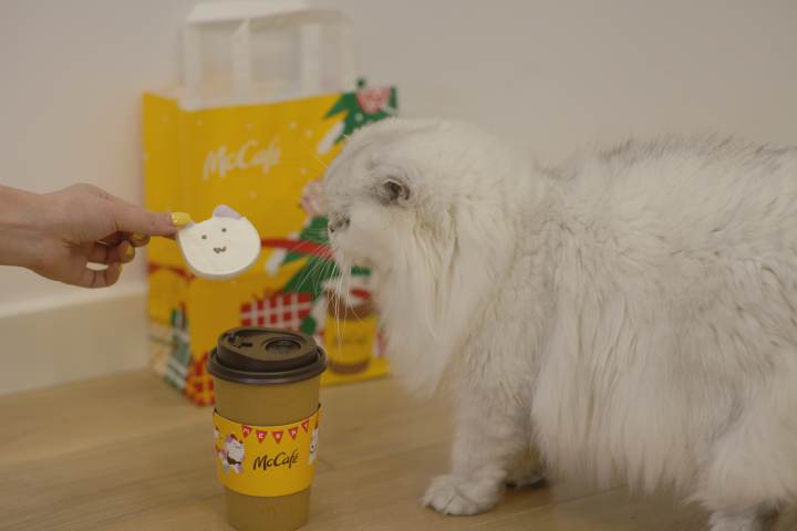 吃货圈·中奖名单｜晒萌宠赢麦咖啡免费试喝机会，恭喜这些网友中奖了