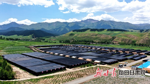 武威市人代会精神,武威党代会报告