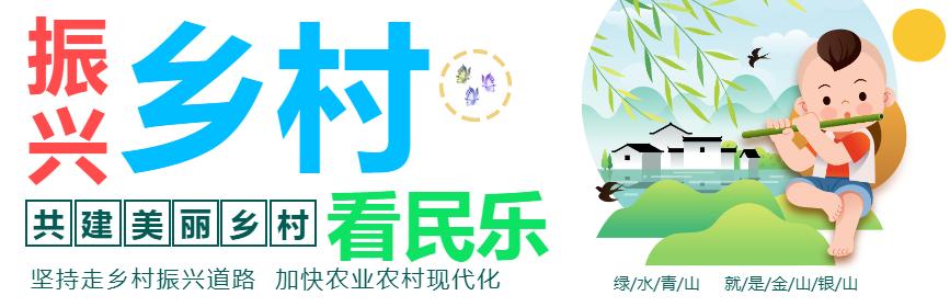 彩虹步行街,彩虹商业广场