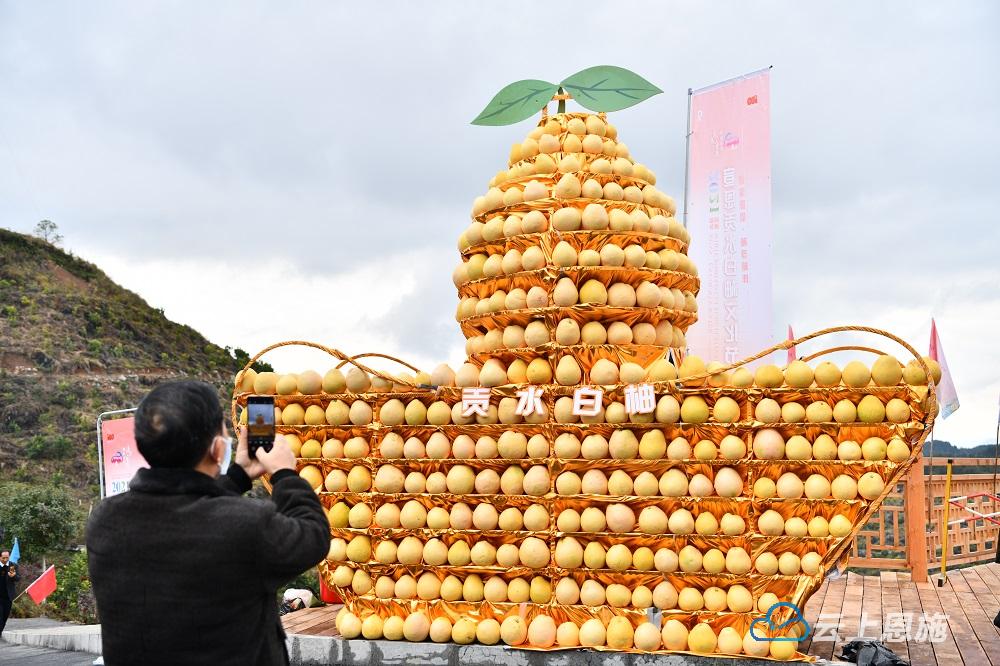 宣恩：山货“柚”走俏线上线下忙不停