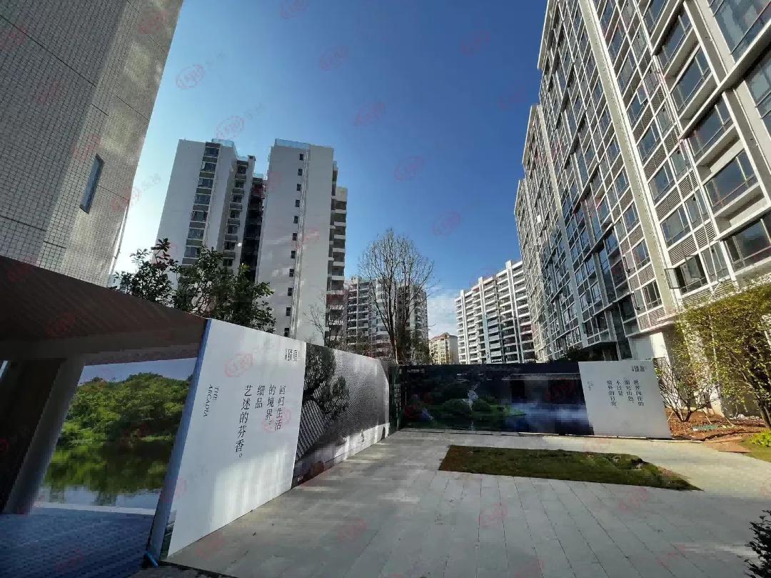 地产大ip,地产ip究竟如何打造