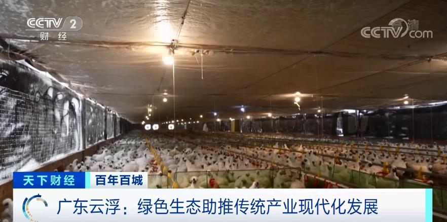 百年百城丨400年历史的大产业！超20万从业人员！广东云浮的石材，卖到全球→