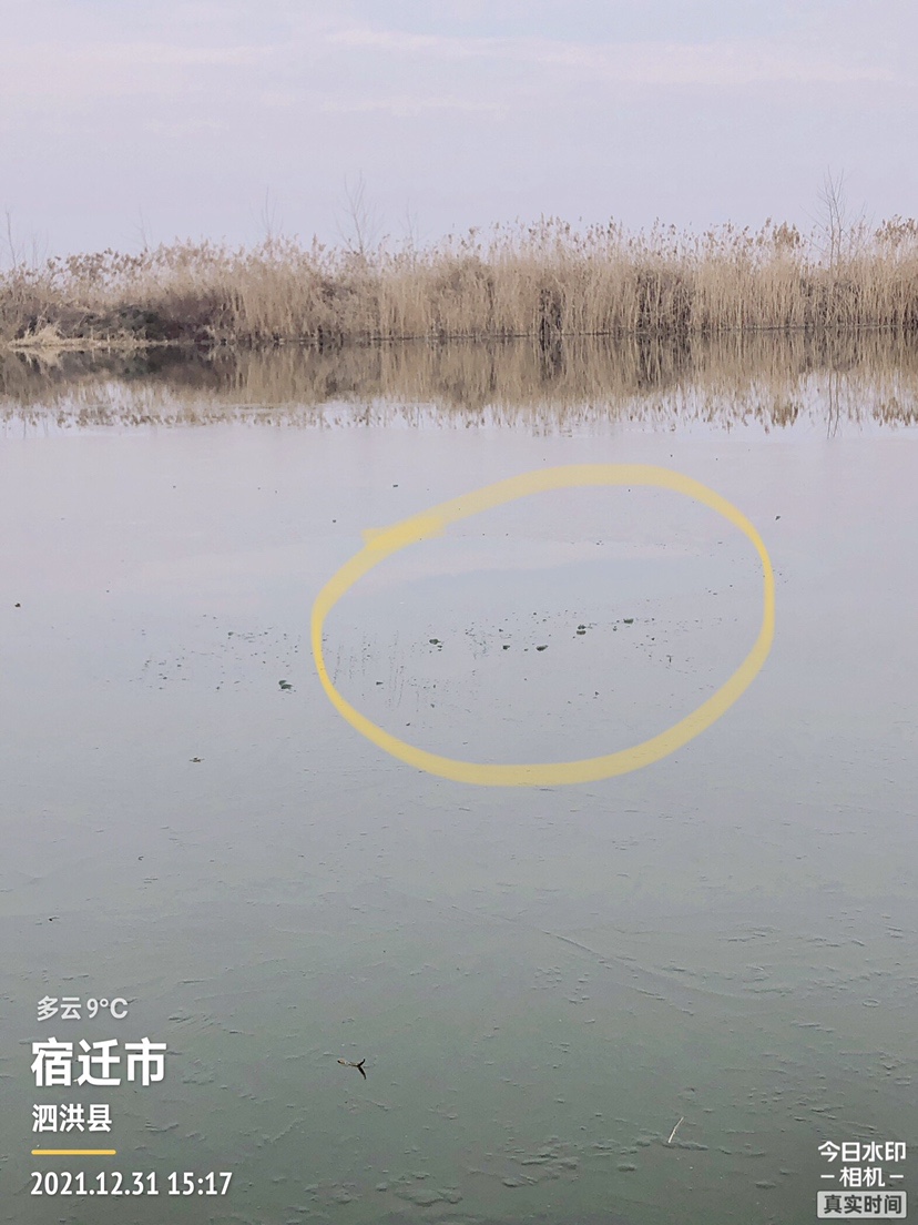 冰钓沉浸式体验,第一次体验冰钓视频