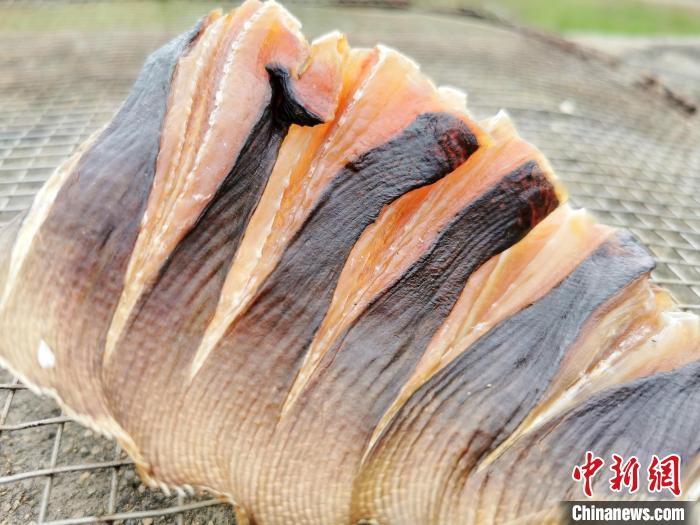 台山清蒸鱼的广东正宗做法,台山鱼怎么做