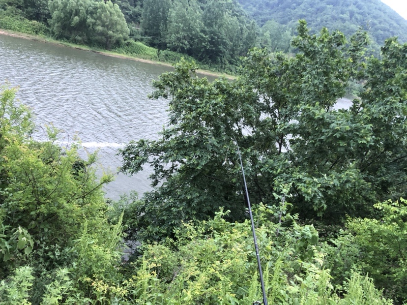 2021打龟爆护同在，未来渔你同行