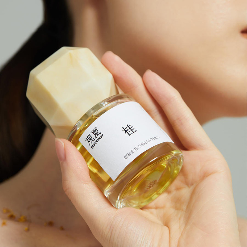 资生堂韩束,资生堂与韩束