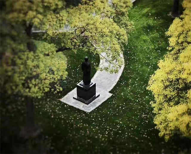 95岁的上音拆围墙，市民未来可更近距离感受音乐文脉