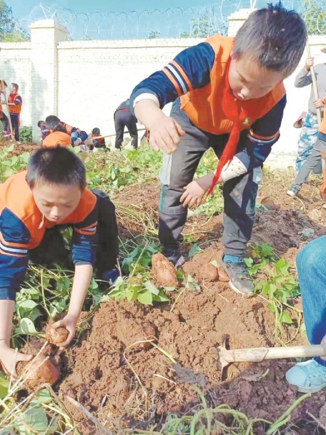 县基础教育集团化办学方案,集团化办学均衡教育