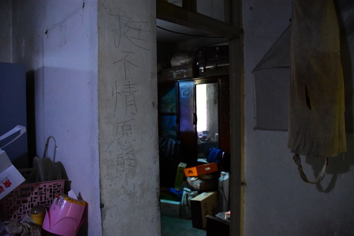 对话天才译者金晓宇,天才译者金晓宇发声视频