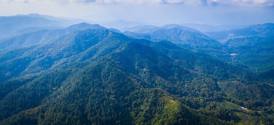 「开局十四五」海南:中国最大特区“买全球”“卖全球”聚四方之才筑国际自贸港高地