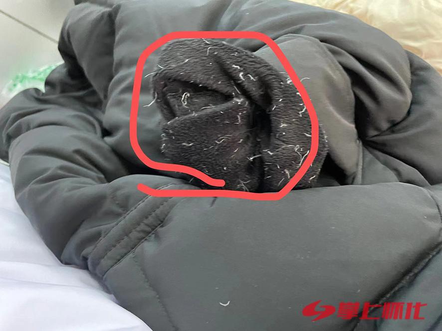 女子一万多的羽绒服被洗坏,羽绒服被洗坏赔800元知乎