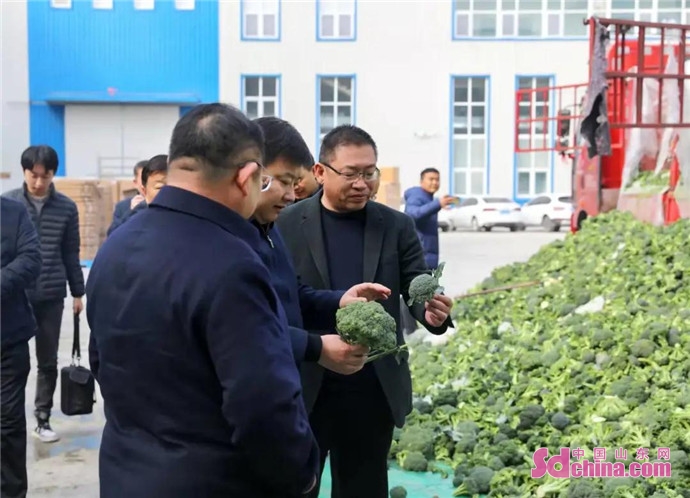 魏传永带队招商,魏传永工作经历