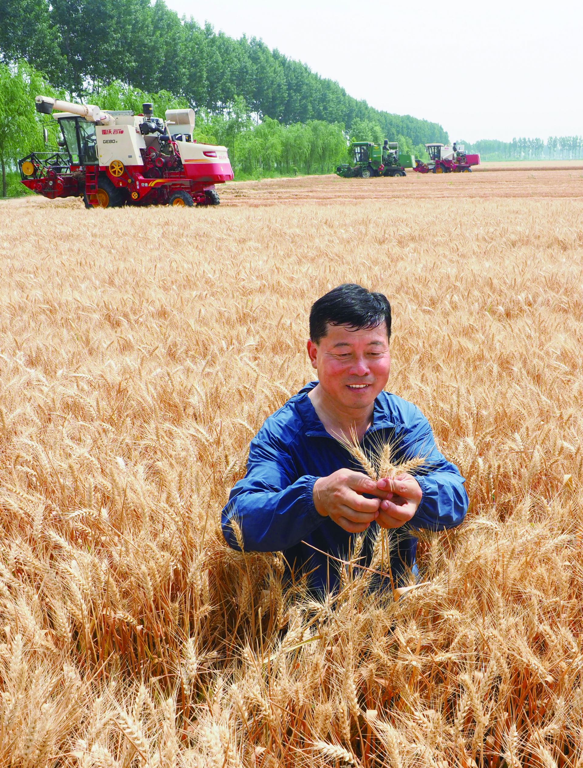 种田有三苦,农民种地有三宝