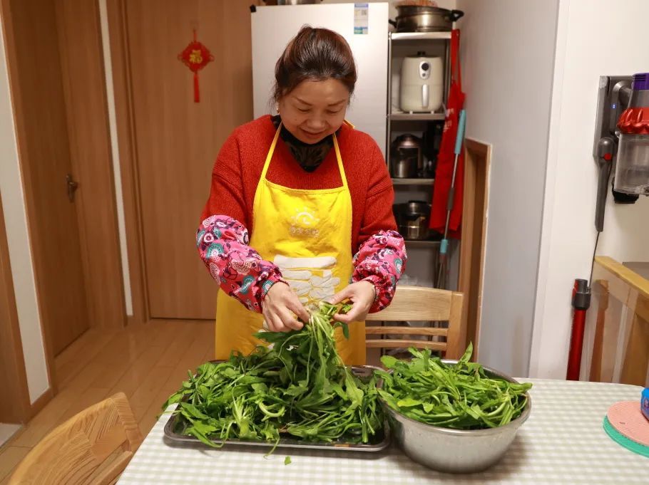 春日尝鲜荠菜春笋鲜肉汤饺,3款荠菜美食寻找春天的味道