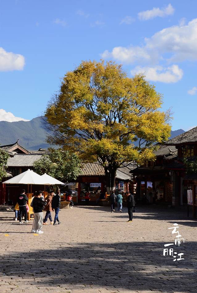 云南旅游全攻略自由行大理洱海,云南旅游攻略三日游洱海