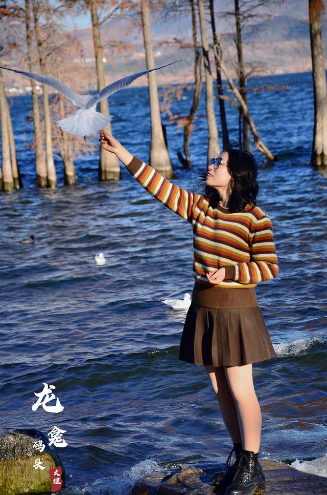 云南旅游全攻略自由行大理洱海,云南旅游攻略三日游洱海